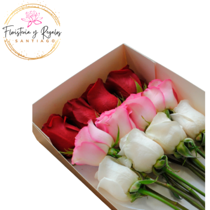 CAJA VISORA 12 ROSAS