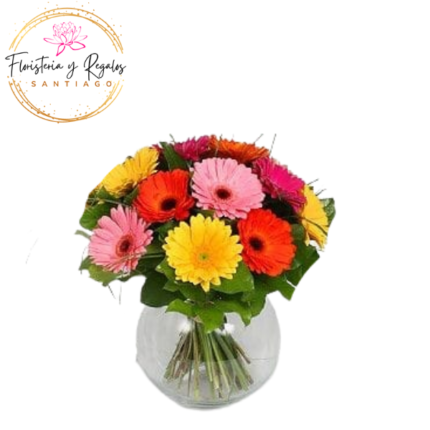 PECERA DE 10 GERBERAS