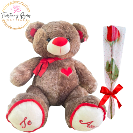 ROSA ARREGLADA Y PELUCHE DE 60CM