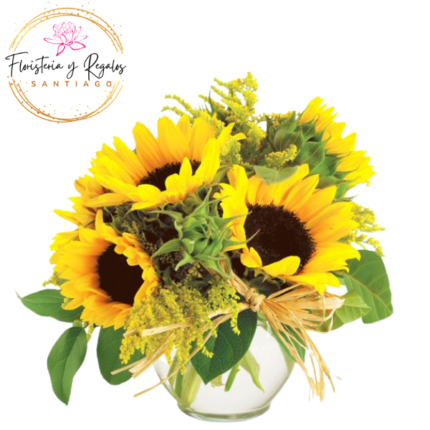 PECERA DE 6 GIRASOLES